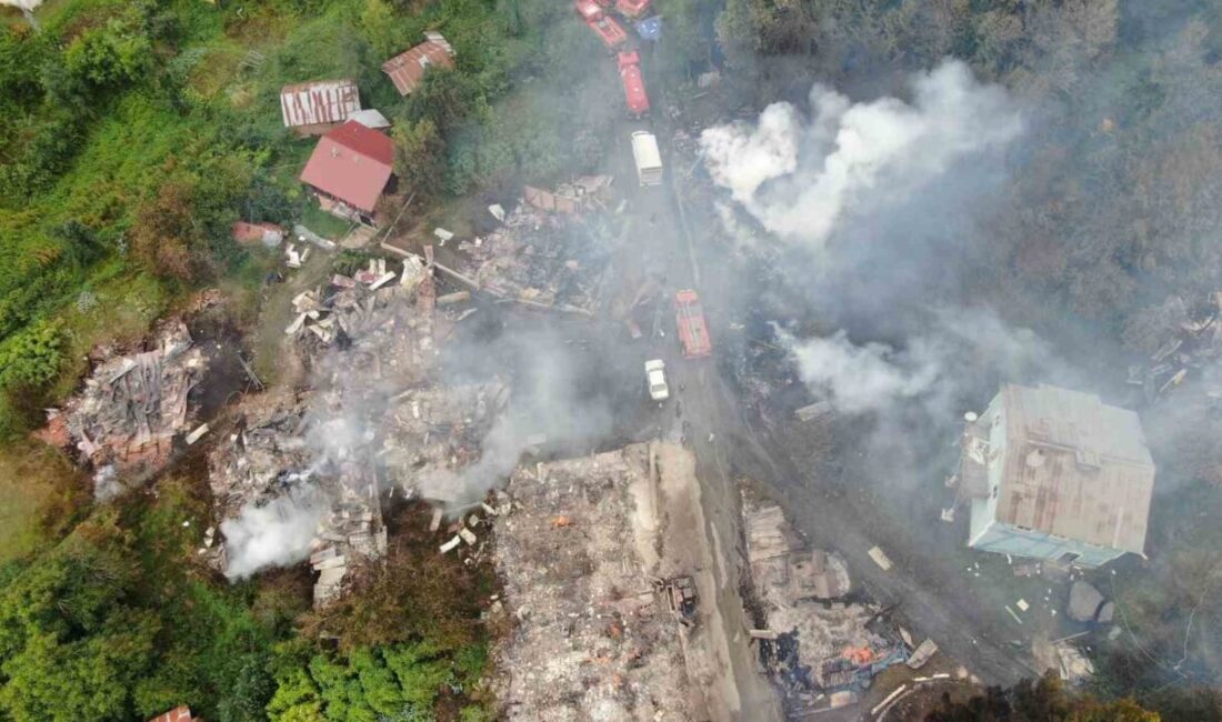 Kastamonu’nun İnebolu ilçesine bağlı Deresökü köyünde meydana gelen yangında 11