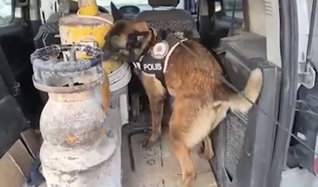 Elazığ’da polis tarafından gerçekleştirilen aramalarda narkotik köpeği yardımıyla bir araçta