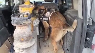 Elazığ’da polis tarafından gerçekleştirilen aramalarda narkotik köpeği yardımıyla bir araçta