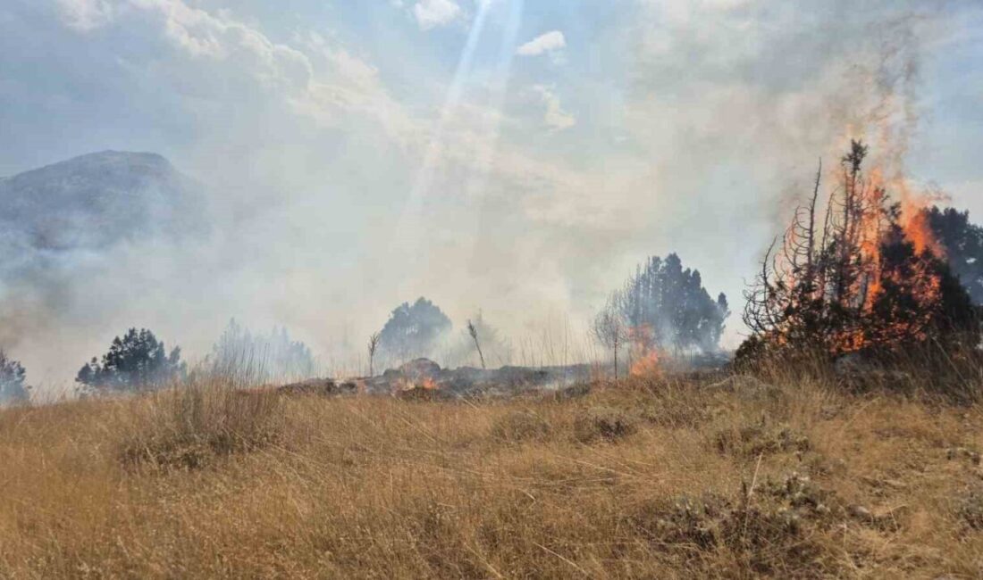 Yalvaç ilçesine bağlı Yukarıkaşıkara köyü Geven Alanı mevkisinde meydana gelen