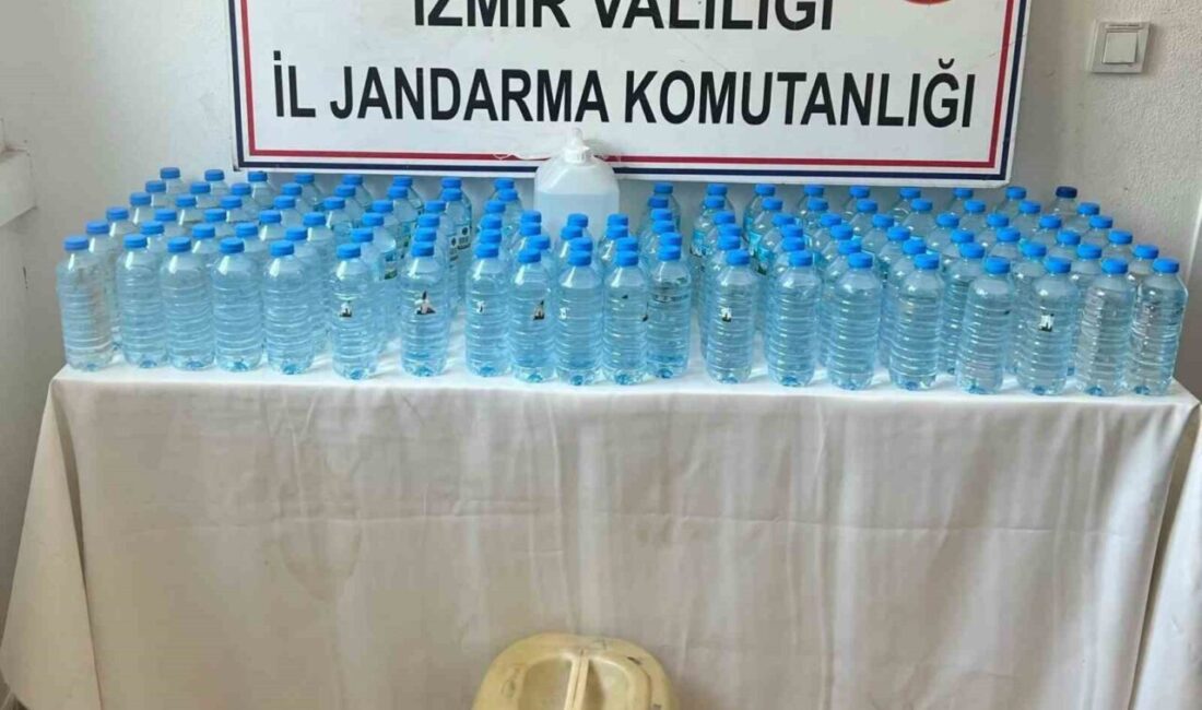 İzmir’de, jandarma birimlerince genel güvenliğin sağlanması hedefiyle 280 personelin katıldığı