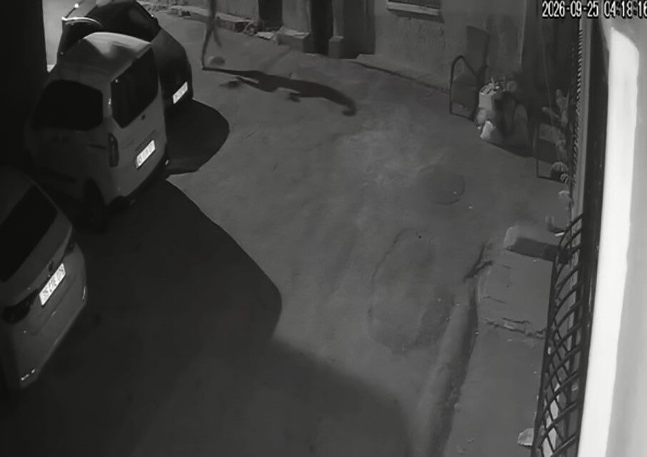 Konak ilçesinde bir kişinin, kendi köpeğine tekme atıp tasmayla sürüklediği