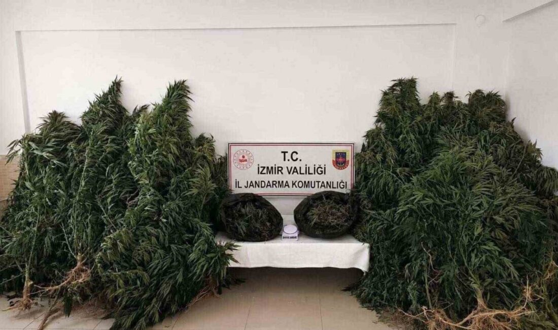 İzmir’in Kiraz ilçesinde jandarma ekipleri tarafından gerçekleştirilen bir operasyonda uyuşturucu