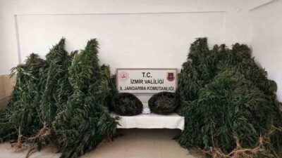İzmir’in Kiraz ilçesinde jandarma ekipleri tarafından gerçekleştirilen bir operasyonda uyuşturucu