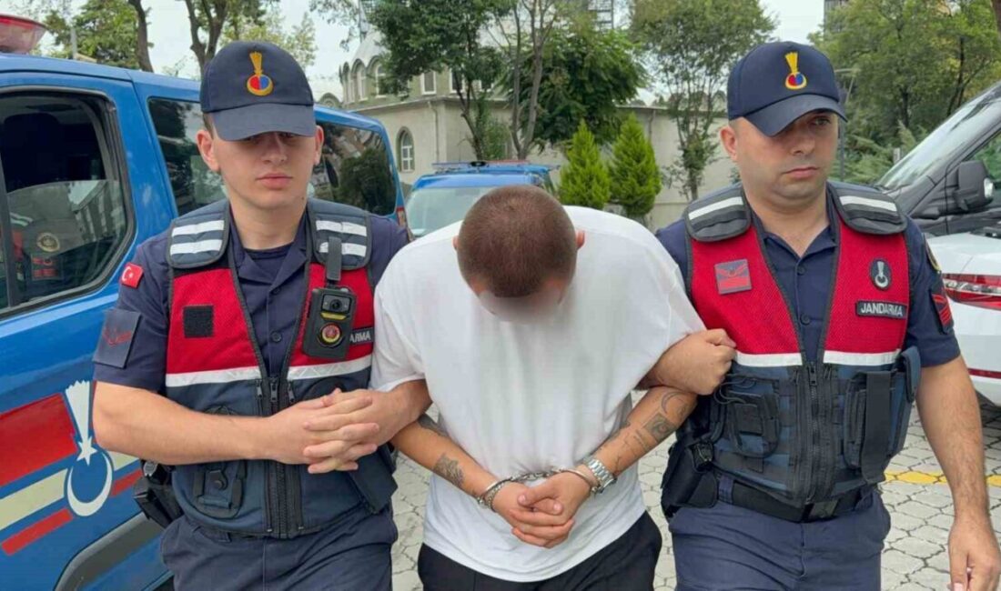 Samsun’un Atakum ilçesinde, jandarma ekipleri tarafından bir ikamete yapılan operasyonda,