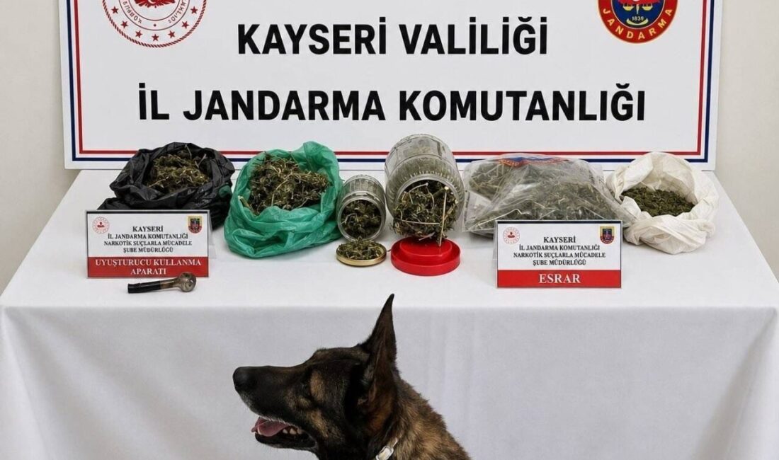 Kayseri’de jandarma ekiplerinin yaptığı operasyonda, bir kişinin evinde büyük miktarda