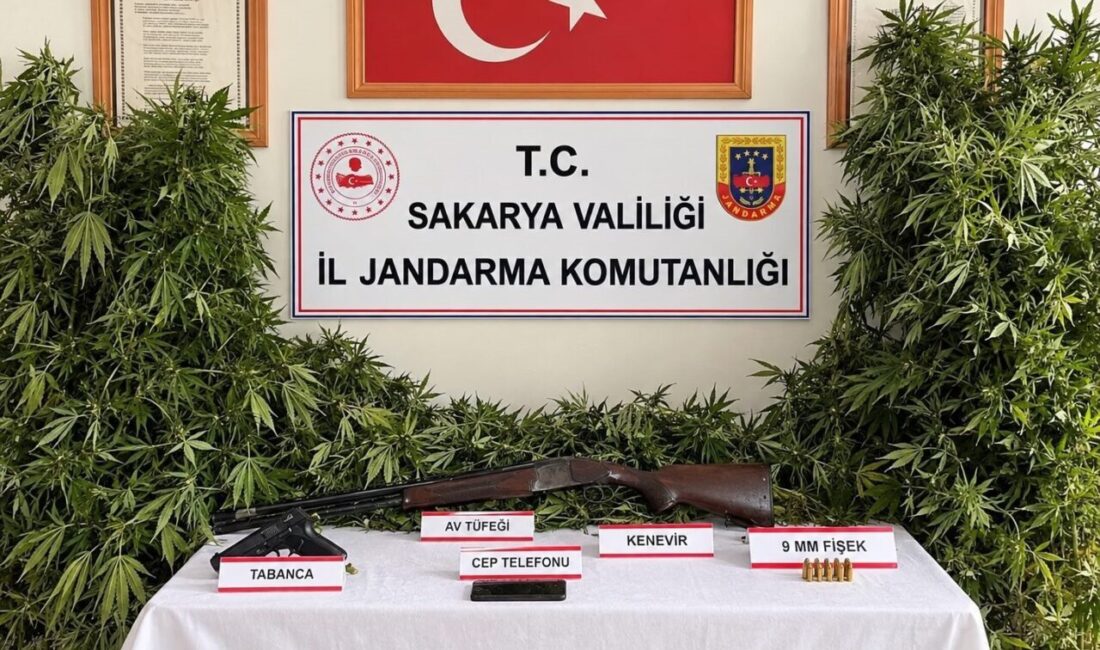 Sakarya ilinde İl Jandarma Komutanlığı ekipleri tarafından Karasu, Sapanca ve