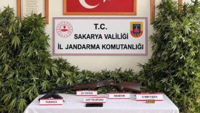 Sakarya ilinde İl Jandarma Komutanlığı ekipleri tarafından Karasu, Sapanca ve