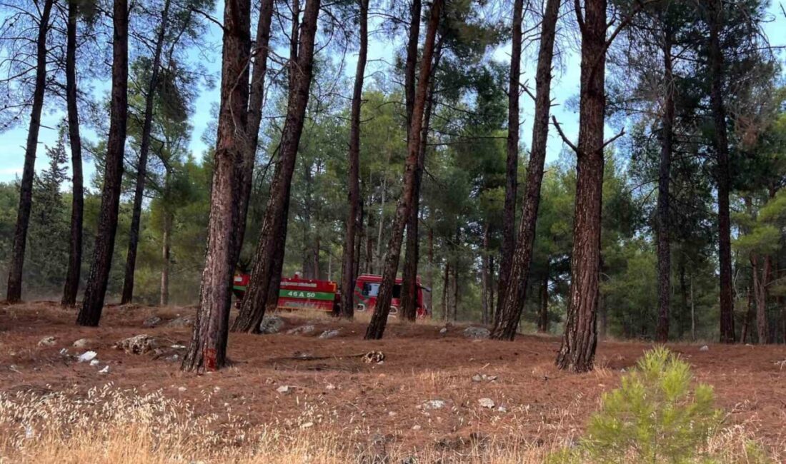 Kahramanmaraş’ta meydana gelen orman yangını, Orman Bölge Müdürlüğü ekiplerinin hızlı