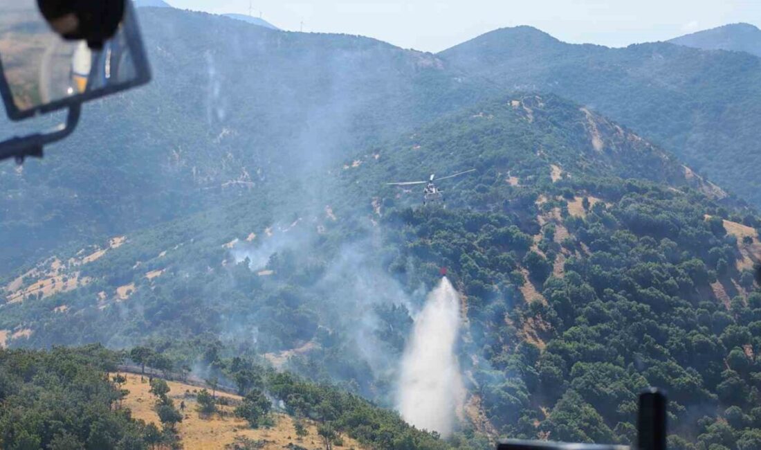 Kahramanmaraş’ın Andırın ve Türkoğlu ilçelerinde meydana gelen iki ayrı orman