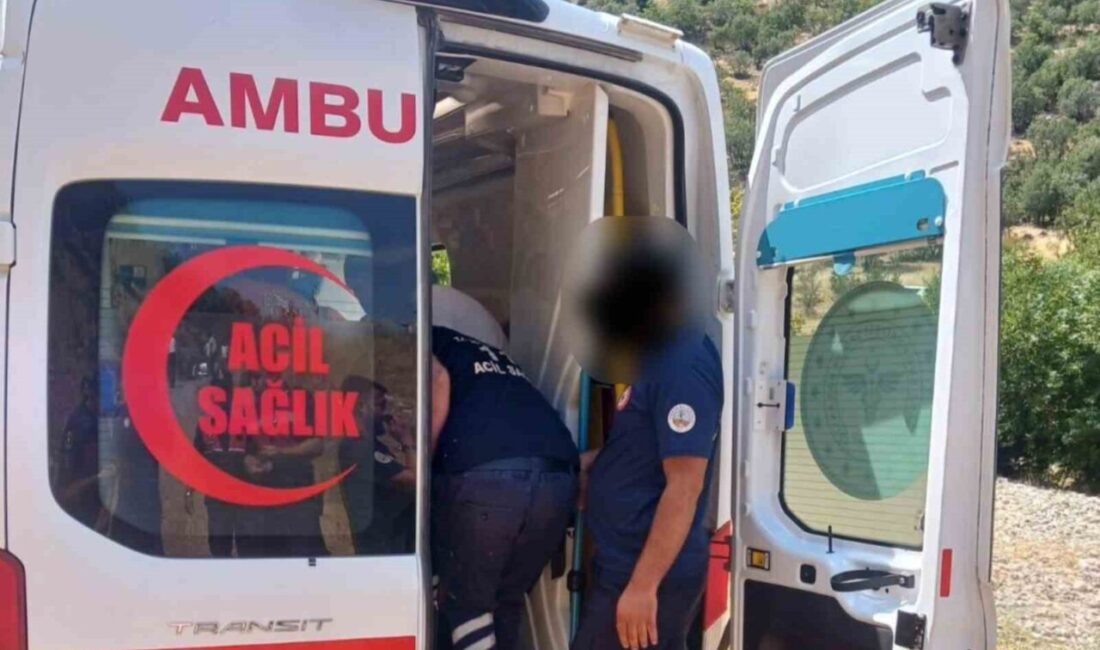 Kahta-Siverek karayolunda meydana gelen trafik kazasında, bir hafif ticari aracın