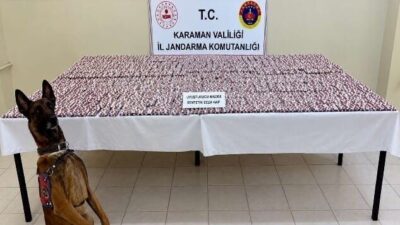 Karaman’da jandarma tarafından gerçekleştirilen operasyonlarda 20 bin adet sentetik ecza
