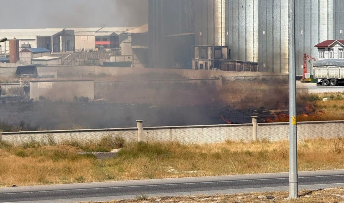 Karapınar ilçesindeki ot yangını, itfaiye ekiplerinin hızlı müdahalesi sonucu büyümeden