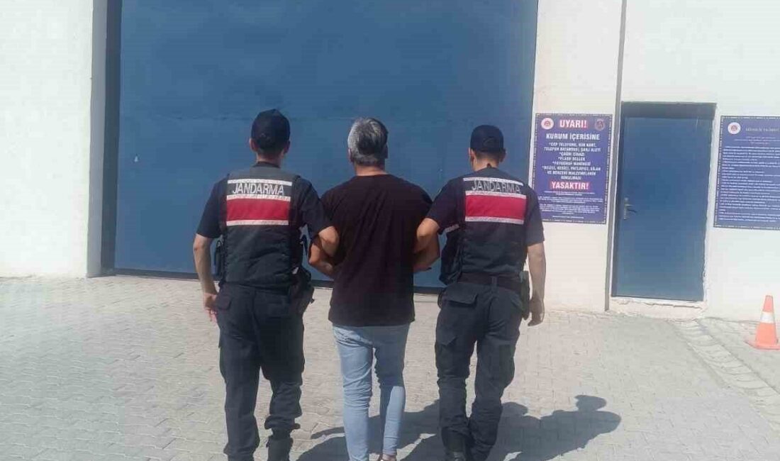 Aydın’ın Karpuzlu ilçesinde Jandarma ekipleri tarafından gerçekleştirilen operasyonda, 8 yıl