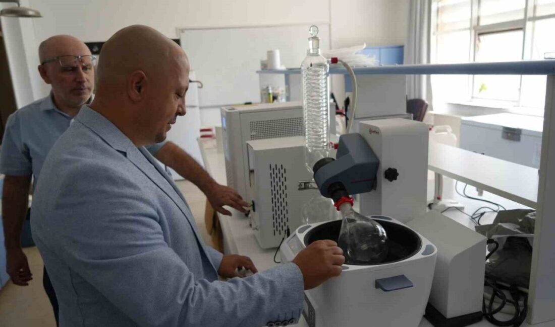 Kastamonu Üniversitesi’nin akademisyenleri, Kastamonu ormanlarında bulunan ayı, kanlıca ve reishi