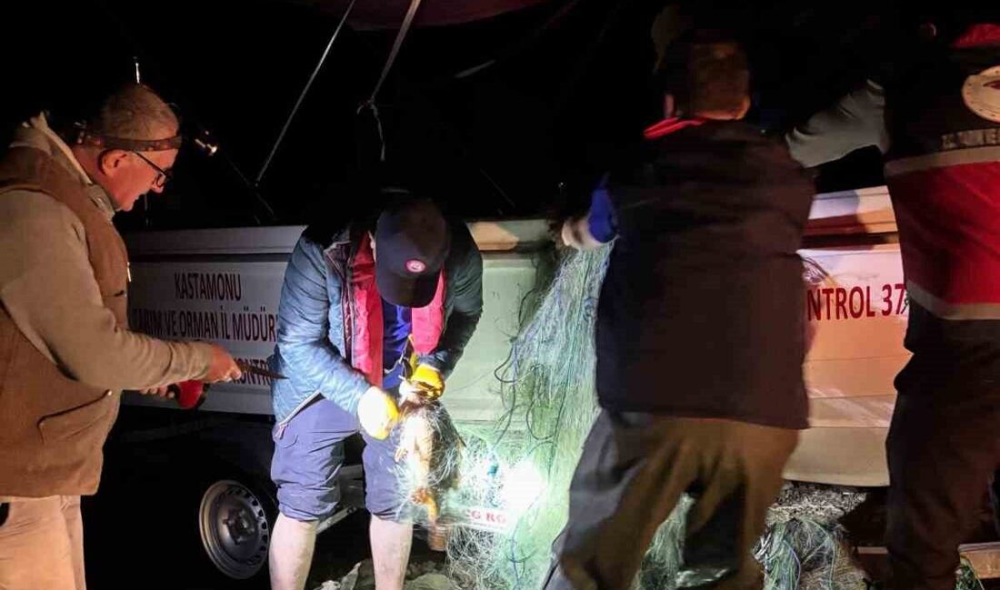 Kastamonu’nun Devrekani ilçesinde, beyler Barajı Göleti’nde ele geçirilen 225 sazan