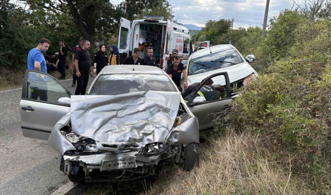 Kastamonu’nun Tosya ilçesinde meydana gelen bir trafik kazasında kamyonet ile