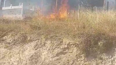 Kastamonu ilindeki bir otluk alanda başlayan yangın, rüzgarın etkisiyle Honsalar