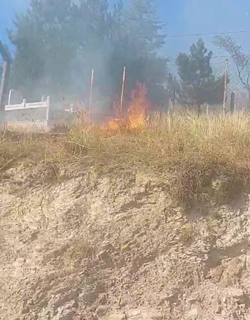 Kastamonu ilindeki bir otluk alanda başlayan yangın, rüzgarın etkisiyle Honsalar