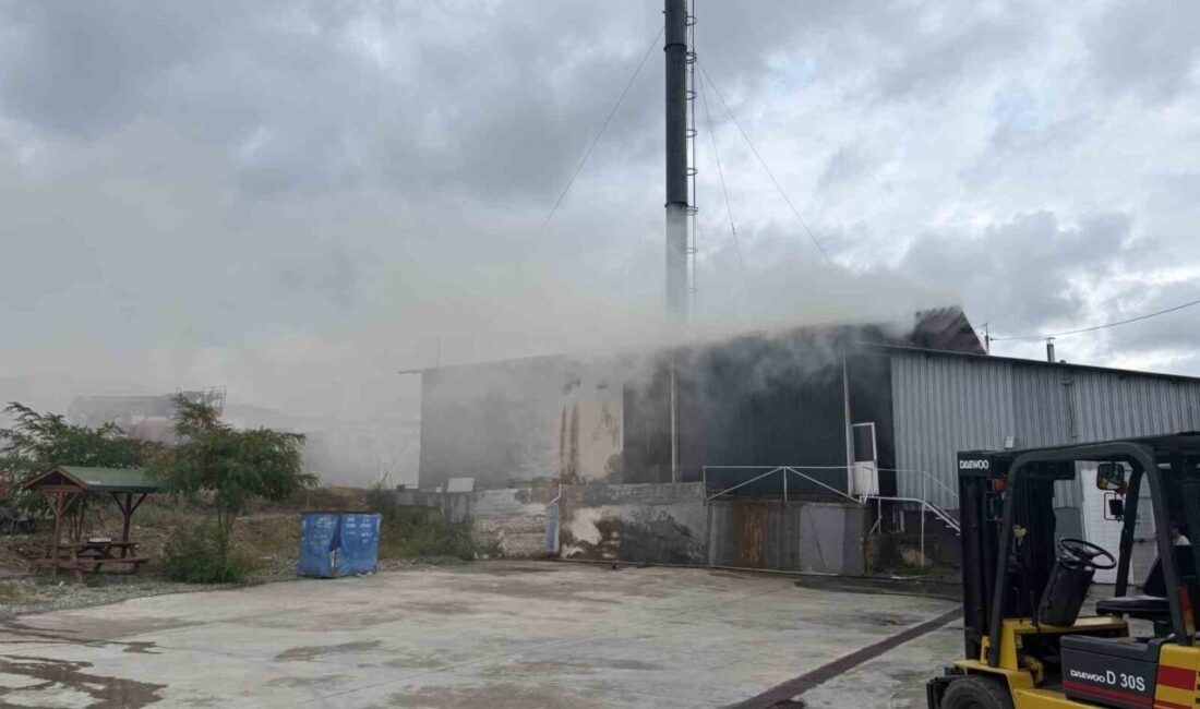 Tosya ilçesinde bulunan bir süt fabrikasına ait talaş silosunda meydana