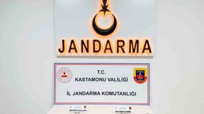 Kastamonu’da jandarma ekipleri tarafından düzenlenen uyuşturucu operasyonunda yakalanan 8 şüpheliden