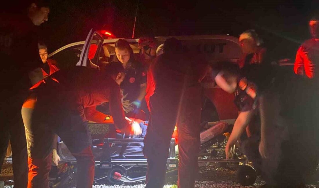 Manavgat ilçesinde kaybolan zihinsel engelli kadın, 7 saat süren arama