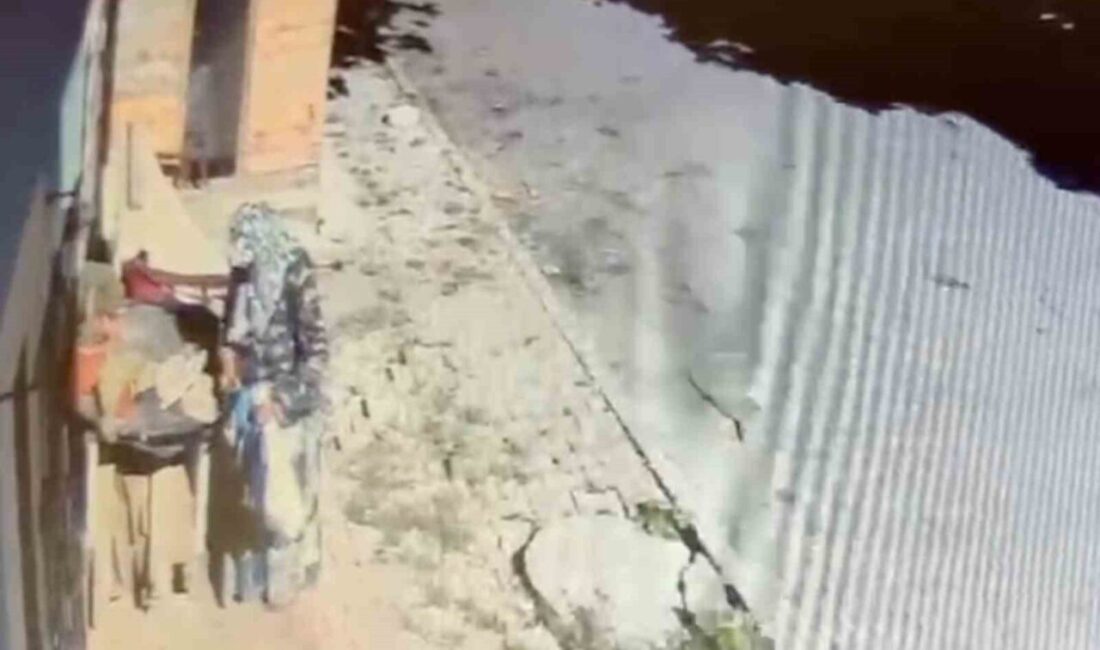 Arnavutköy’de bir binanın bahçesindeki saksıdan çiçek çalan bir kadın, bina