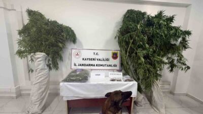 Develi ilçesinde Jandarma ekipleri tarafından yürütülen operasyonda, 5 yıldır firari