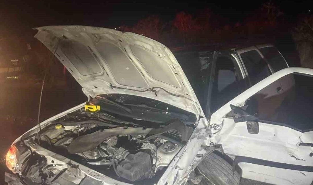 Kocasinan ilçesinde meydana gelen trafik kazasında, hafif ticari araç ile