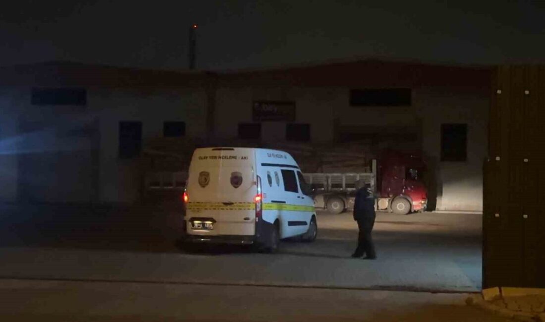 Kayseri’nin Melikgazi ilçesinde bir sunta üretim tesisinde çalışan bir işçi,