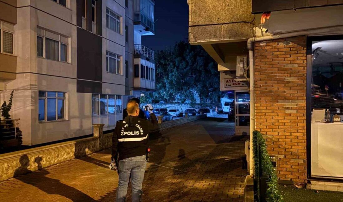 Kayseri’nin Kocasinan ilçesinde kendi annesiyle birlikte yaşayan 55 yaşındaki bir