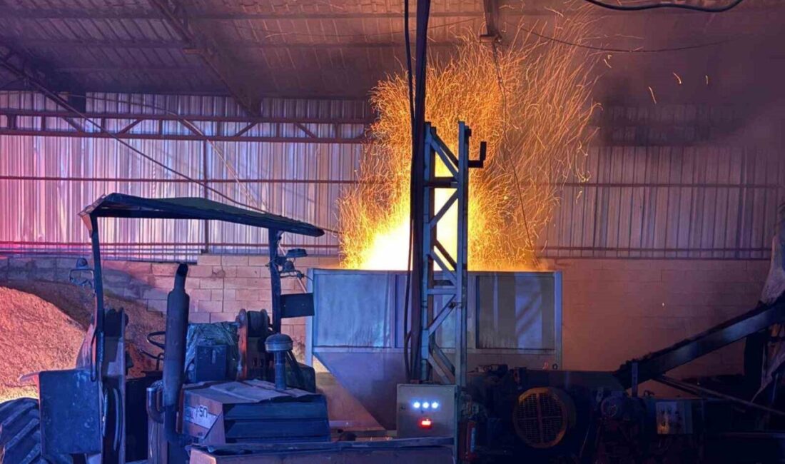 Kayseri’nin Melikgazi ilçesinde bir kereste fabrikasında bulunan talaş briketleme makinasında