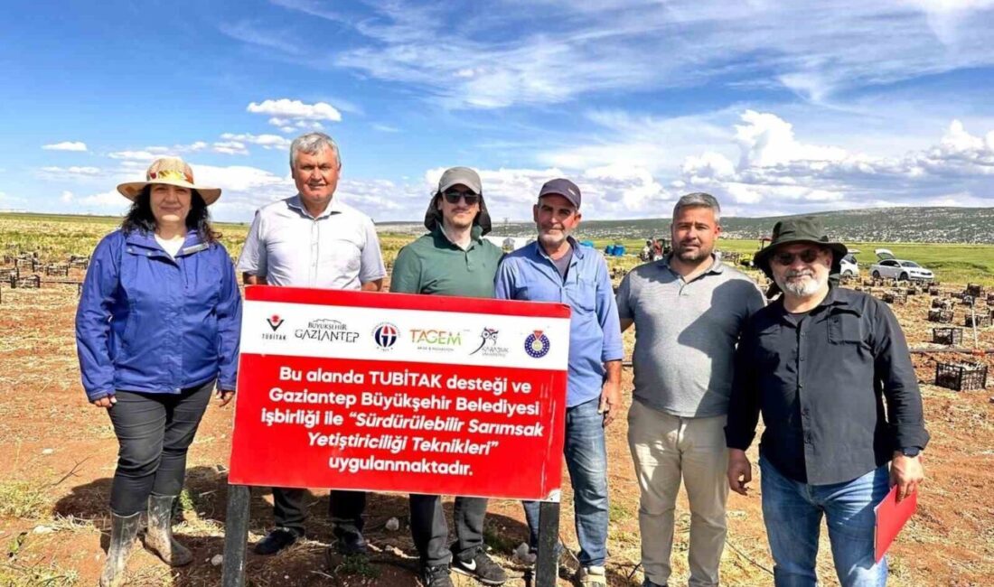 TÜBİTAK 1001 kapsamında desteklenen bir projede Karabük Üniversitesi (KBÜ) Orman