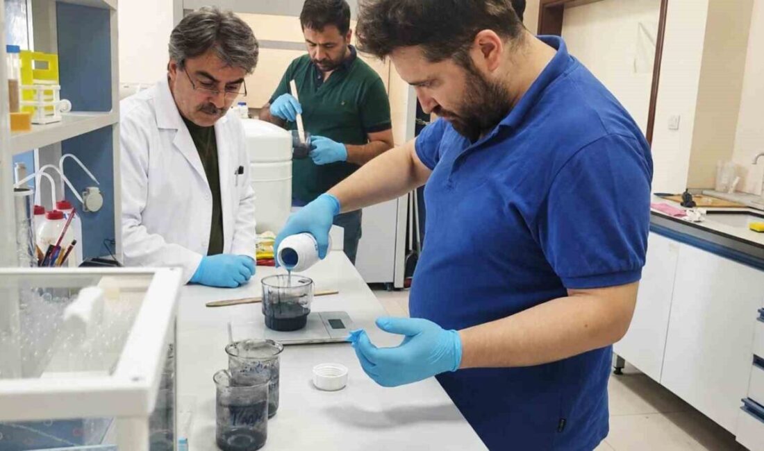 Karabük Üniversitesi’nden (KBÜ) Prof. Dr. Bilge Demir ve Öğr. Gör.