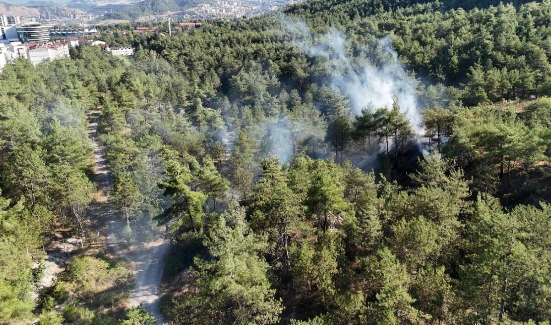 Karabük’te, Şirinevler Mahallesi’ndeki Kent Ormanı’nda meydana gelen ormanlık alandaki örtü