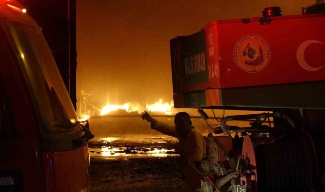 Kilis Organize Sanayi Bölgesi’nde yer alan bir ambalaj fabrikasında yangın