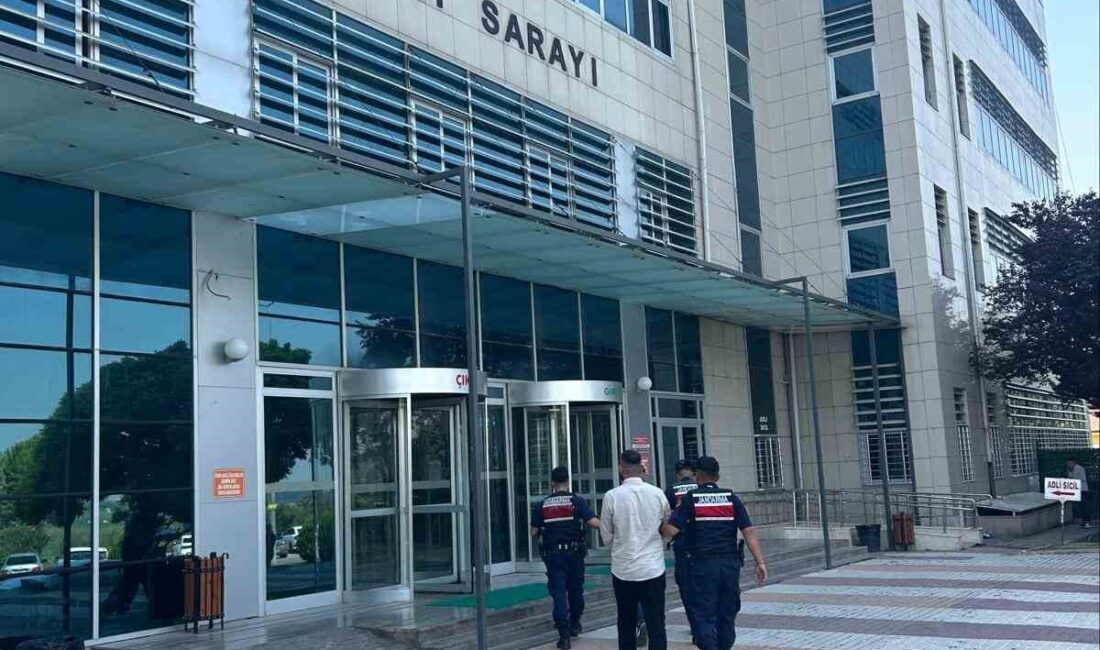 Ceyhan ilçesinde düzenlenen kına merasiminde silahla ateş eden ve jandarma
