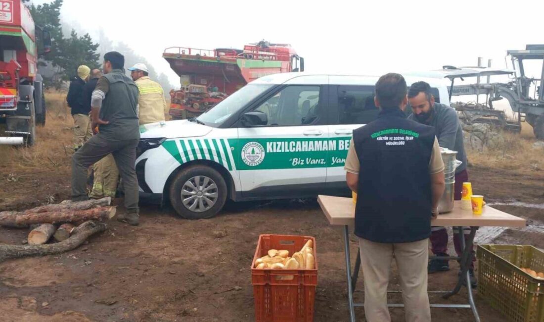 Ankara’nın Kızılcahamam ilçesinde bulunan üç ayrı yayla alanında çıkan yangınlar,