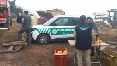 Ankara’nın Kızılcahamam ilçesinde bulunan üç ayrı yayla alanında çıkan yangınlar,