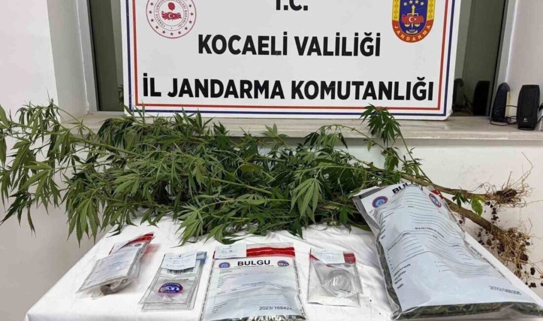 Kocaeli ilinde Jandarma ekipleri tarafından gerçekleştirilen operasyonda, 2 ayrı adrese