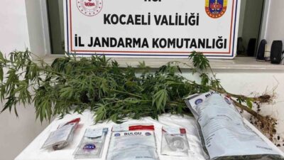 Kocaeli ilinde Jandarma ekipleri tarafından gerçekleştirilen operasyonda, 2 ayrı adrese