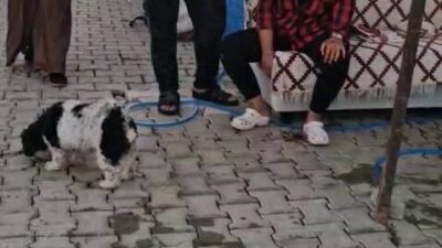 Hatay’ın Antakya ilçesinde yaşanan olayda, ayrılma sürecinde olan imam nikahlı
