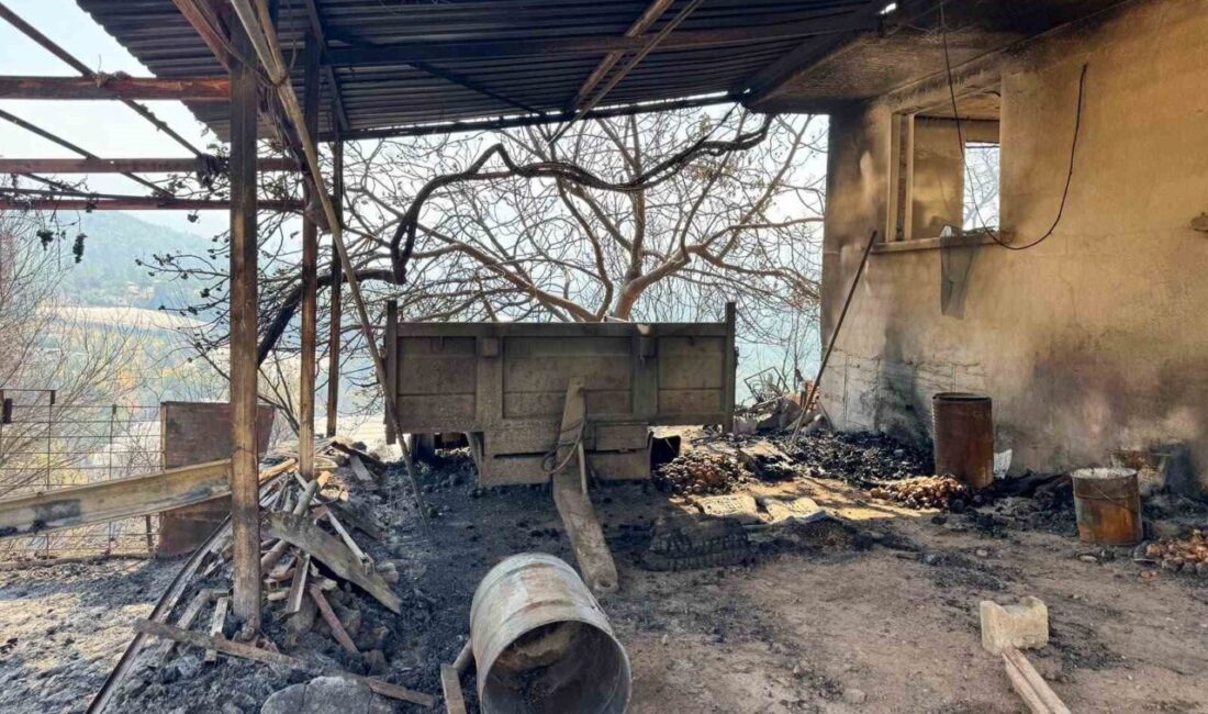 Kumluca ilçesinde çıkan orman yangını, ekiplerin hava ve karadan verdiği