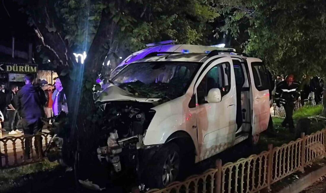 Erzurum’un Palandöken ilçesinde meydana gelen trafik kazasında, bir ağaca çarpan