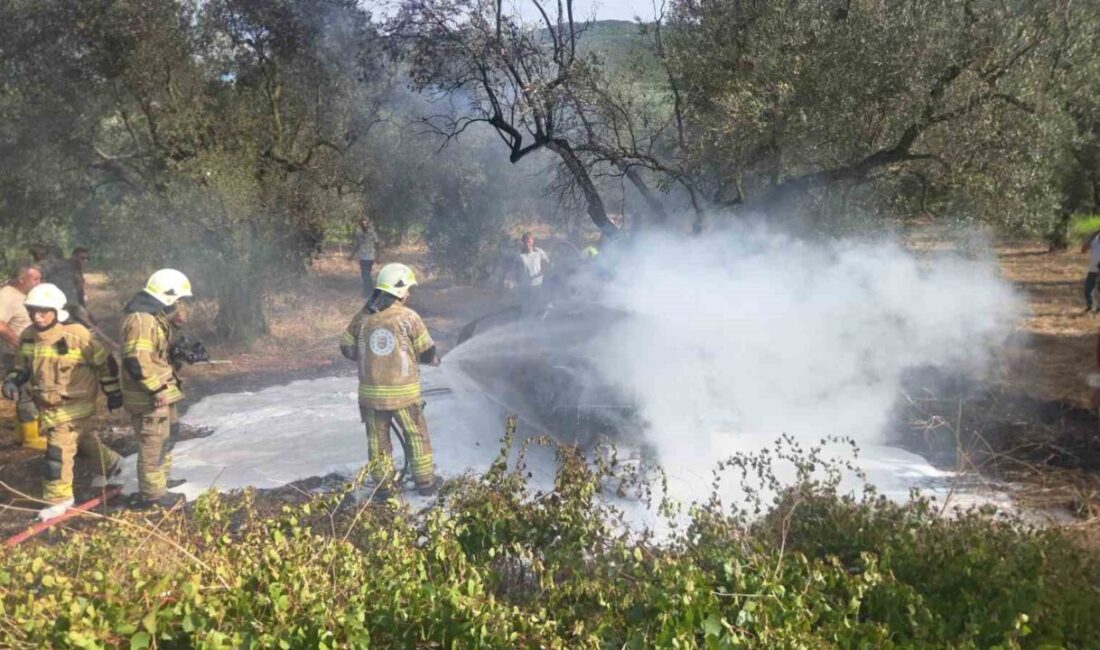 Orhangazi ilçesinde, İznik Yolu üzerinde meydana gelen korkunç trafik kazasında
