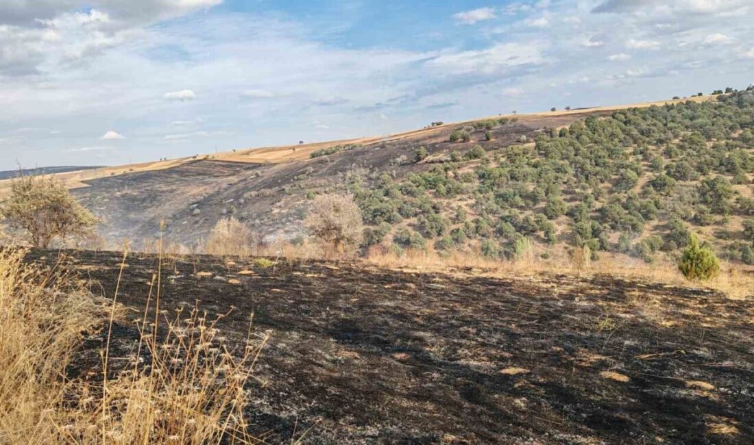 Konya’nın Yalıhüyük ilçesinde çıkan orman yangını, ekiplerin başarılı müdahalesi sonucunda