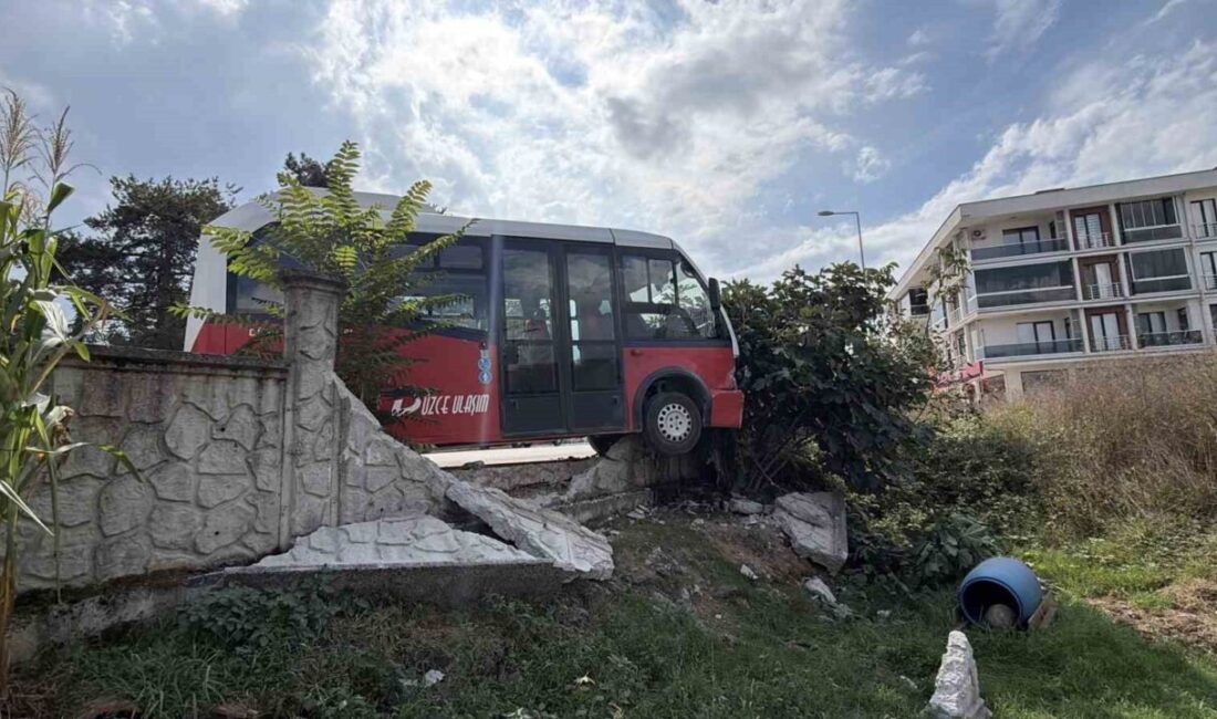 Düzce’de bir halk otobüsü, köpeklere çarpmamak için manevra yaparken bir