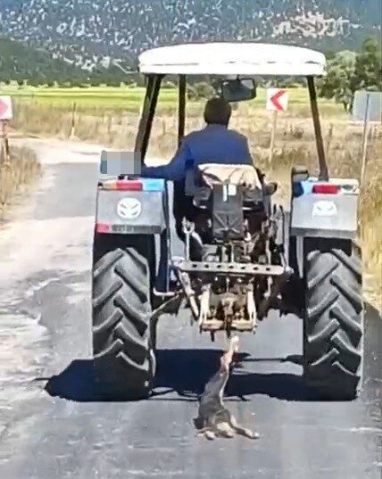 Andırın ilçesinde bir köpeğin traktörle sürüklenmesi anı, cep telefonu kamerasıyla