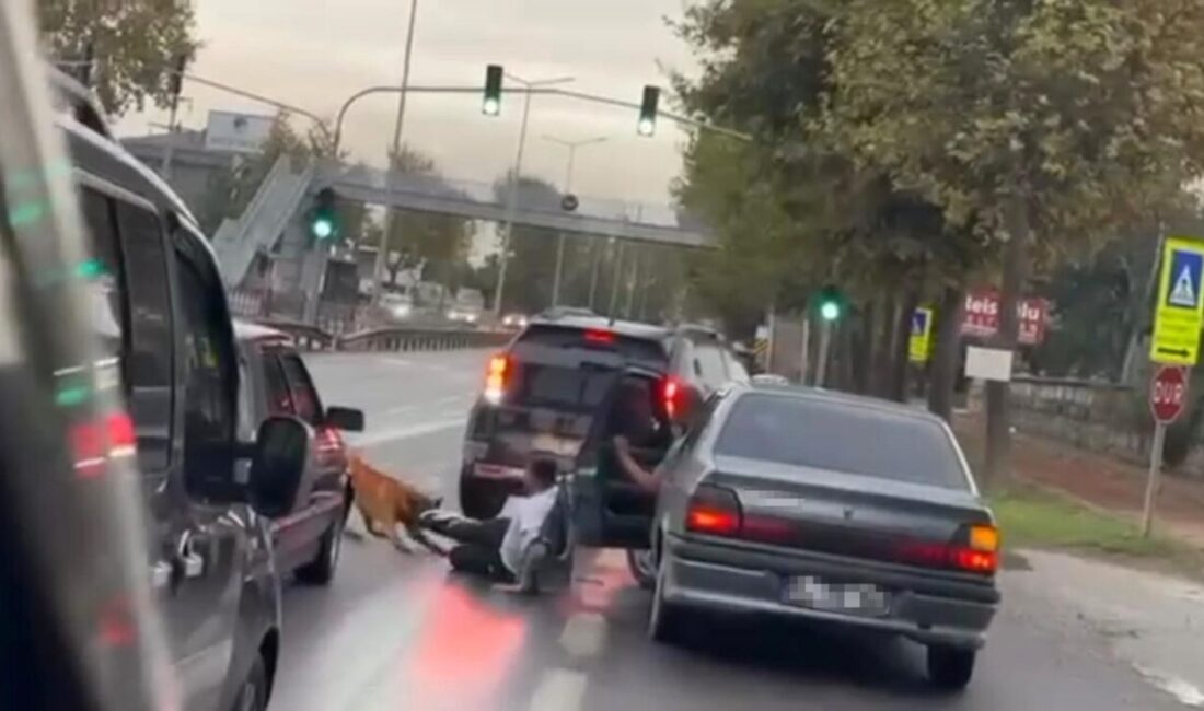 Adapazarı ilçesinde, zinciri kopmuş bir köpek yolda yürüyen bir vatandaşı
