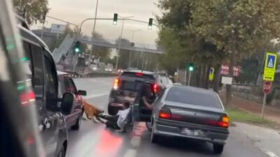 Adapazarı ilçesinde, zinciri kopmuş bir köpek yolda yürüyen bir vatandaşı